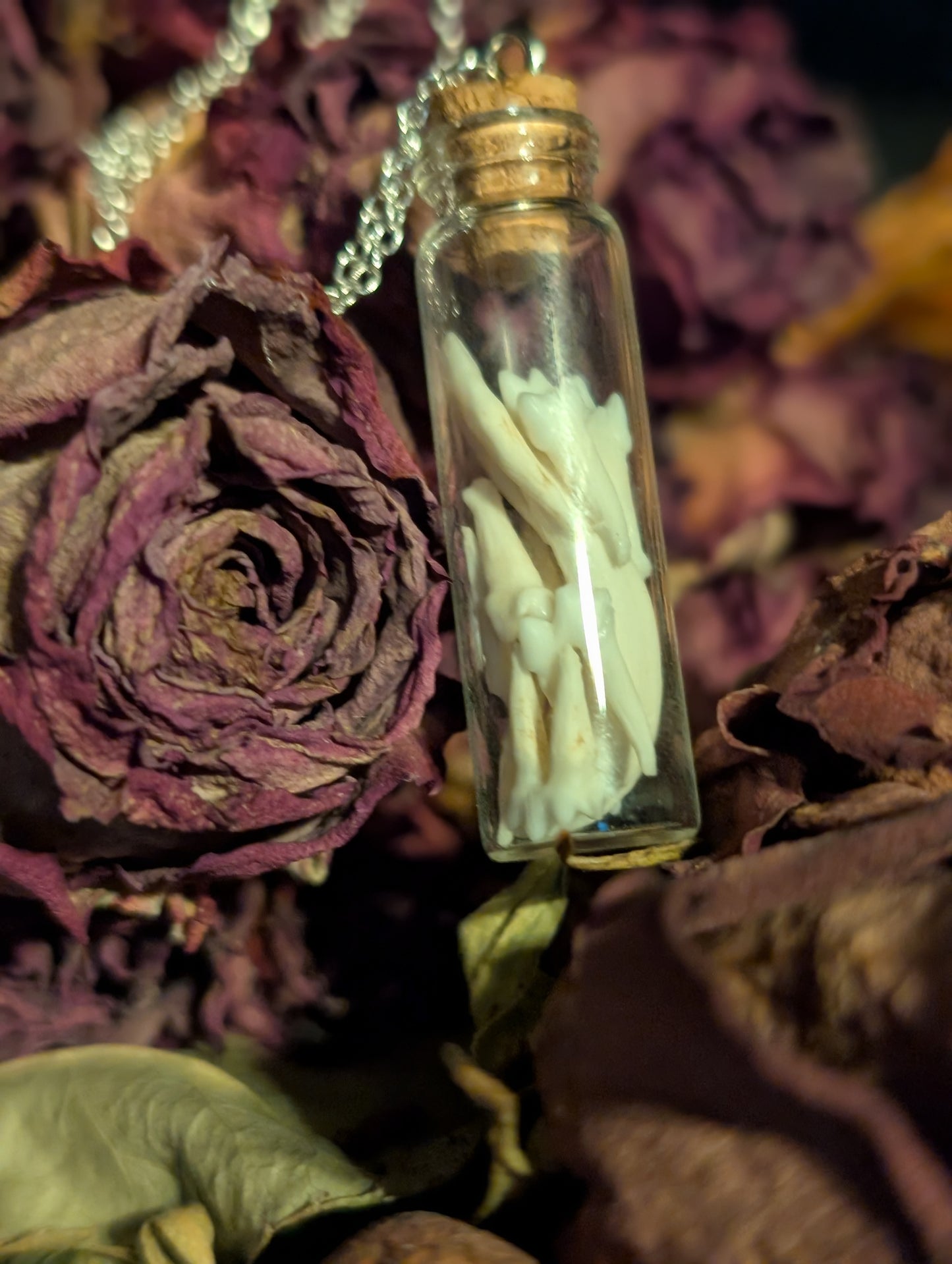 TOOTH VIAL NECKLACE