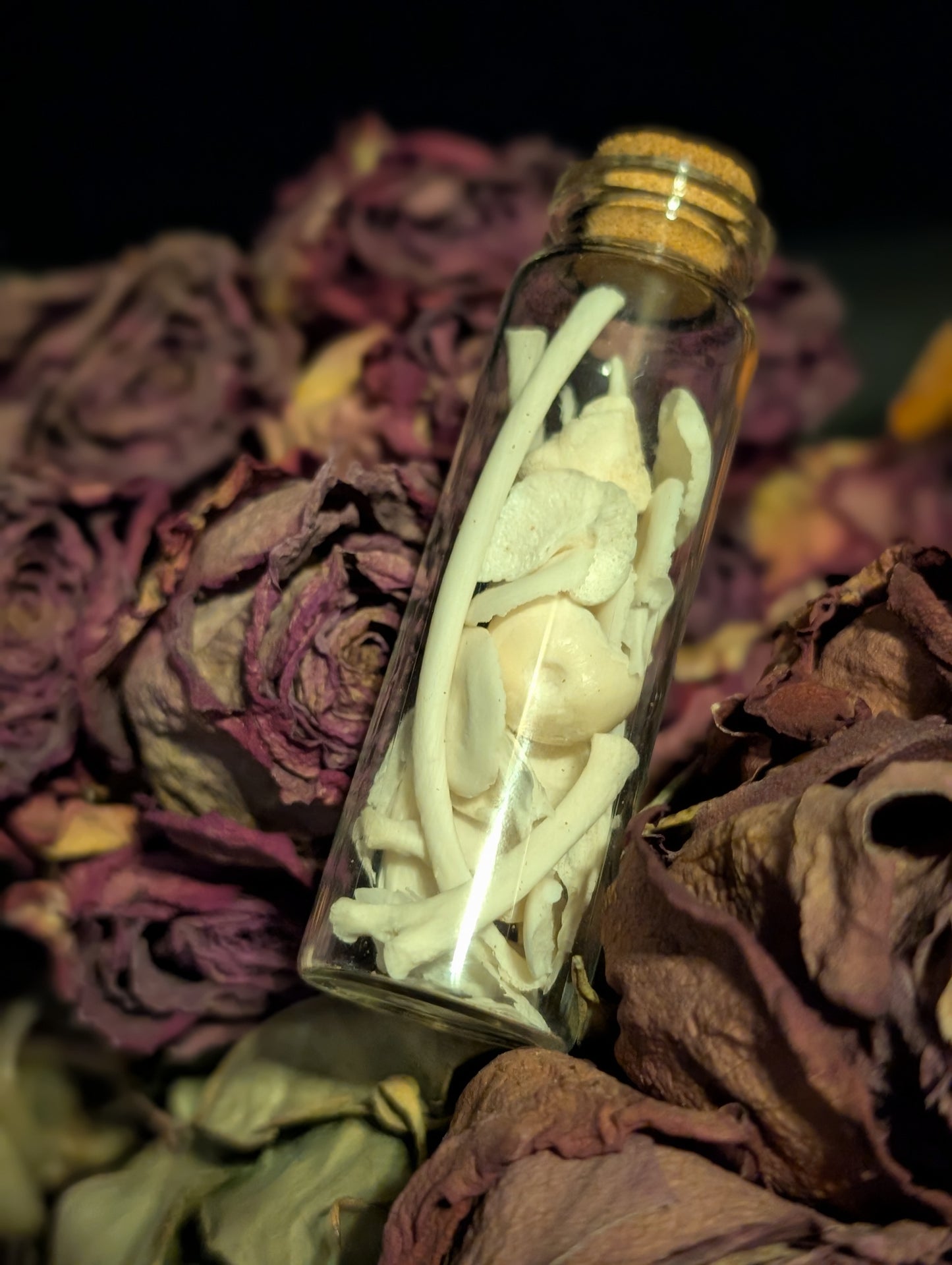 BONE VIAL