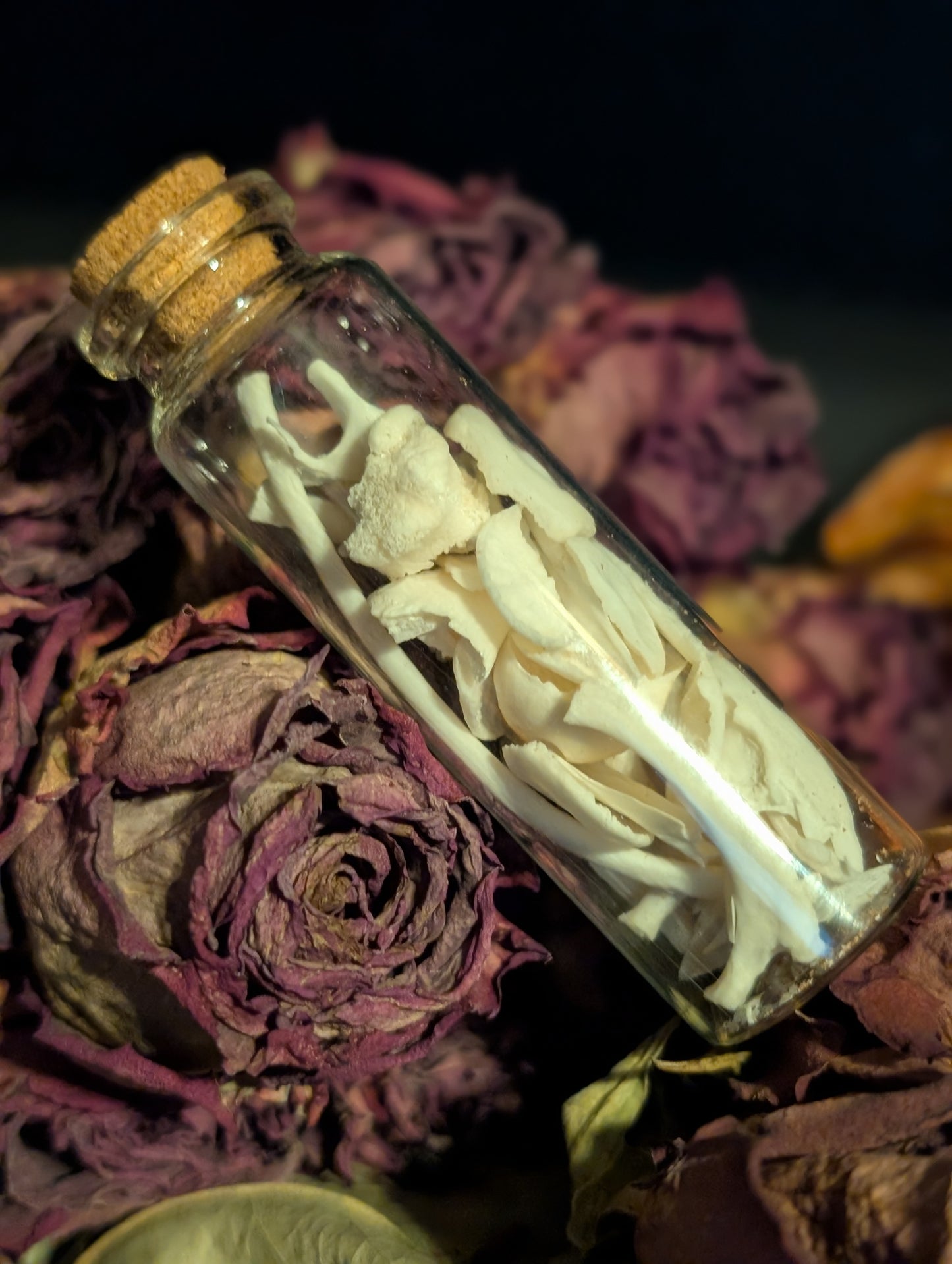 BONE VIAL