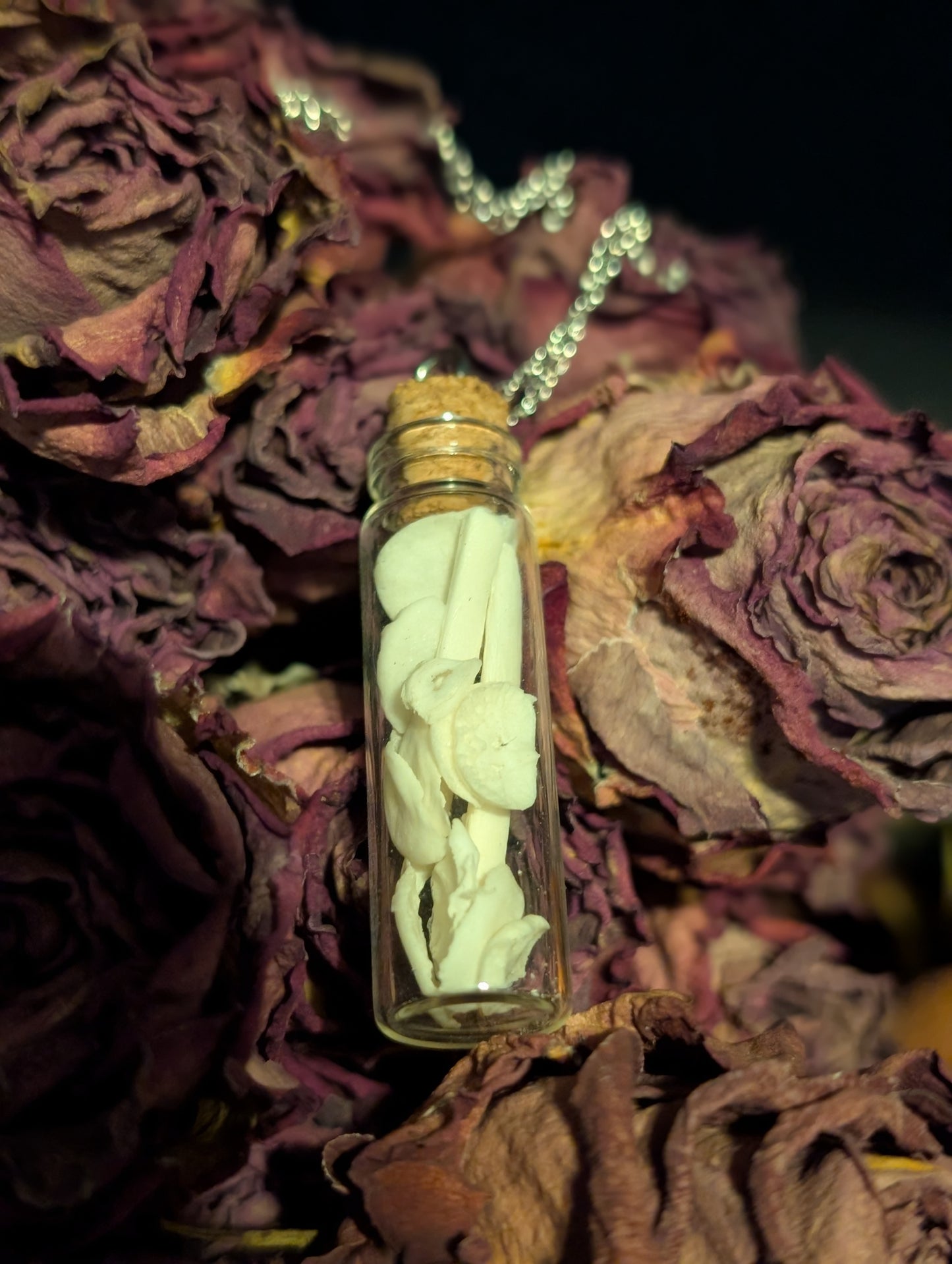 BONE VIAL NECKLACE