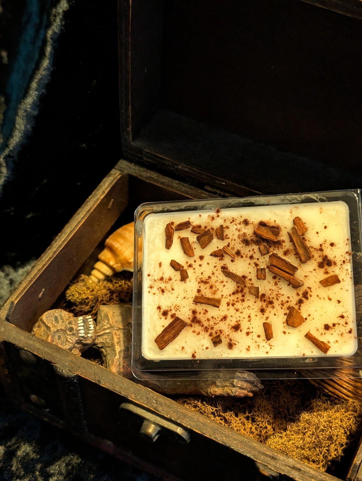 SPICED COQUITO WAX MELT LARGE