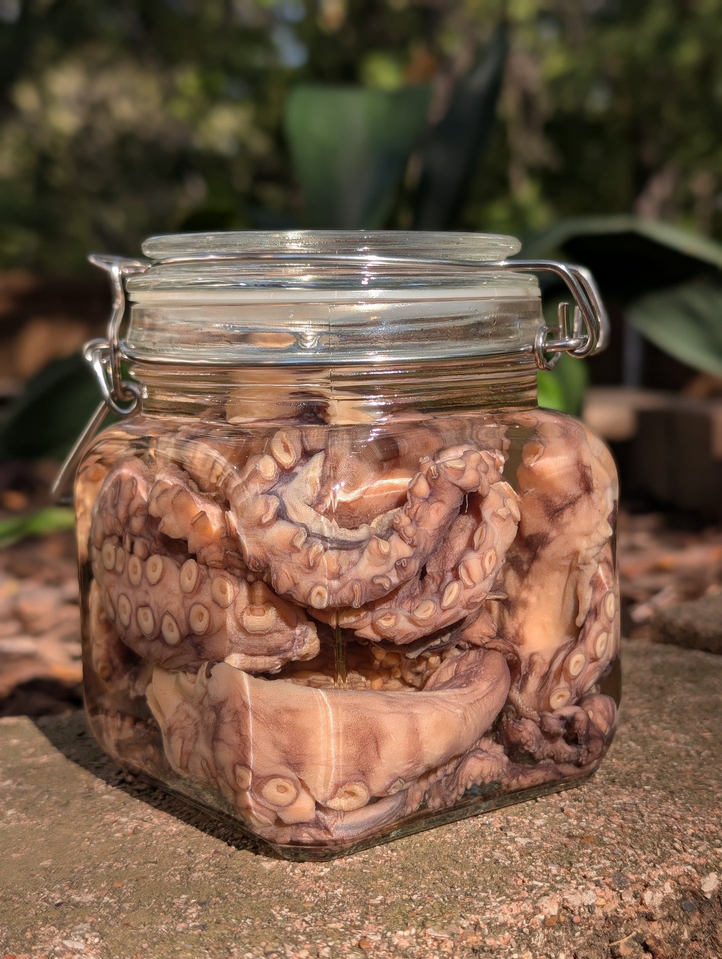 TENTACLES - WET SPECIMEN