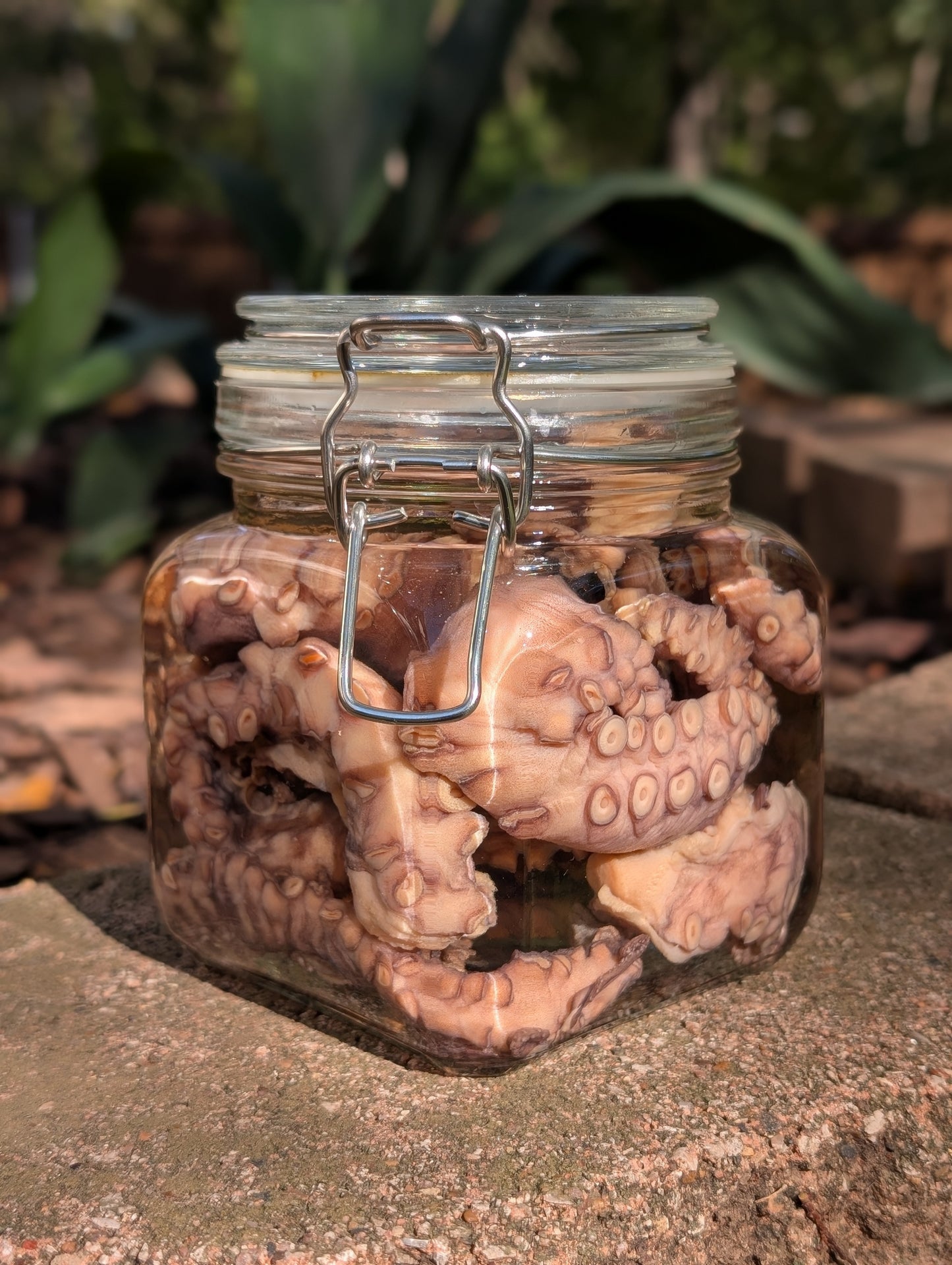 TENTACLES - WET SPECIMEN