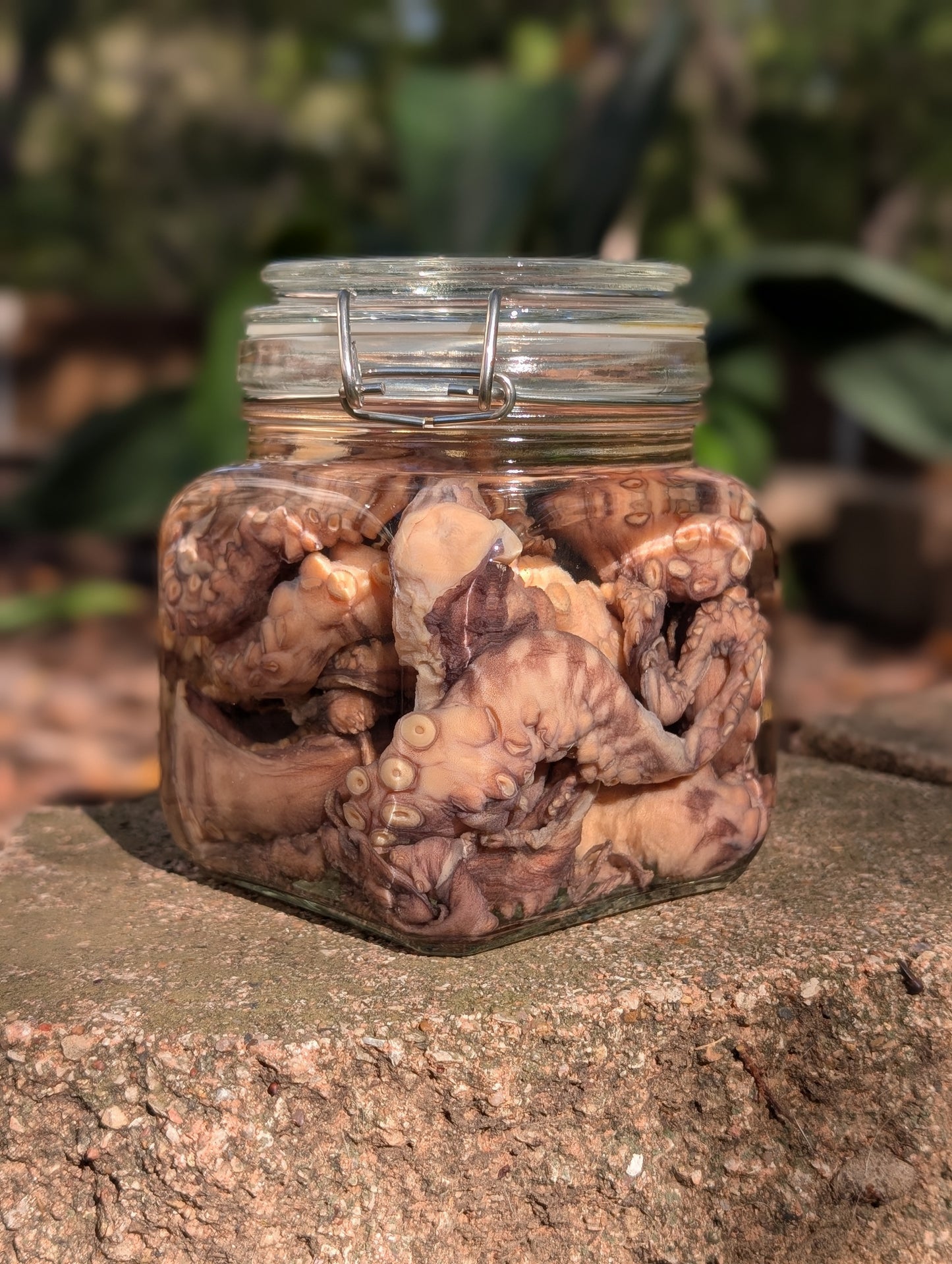 TENTACLES - WET SPECIMEN