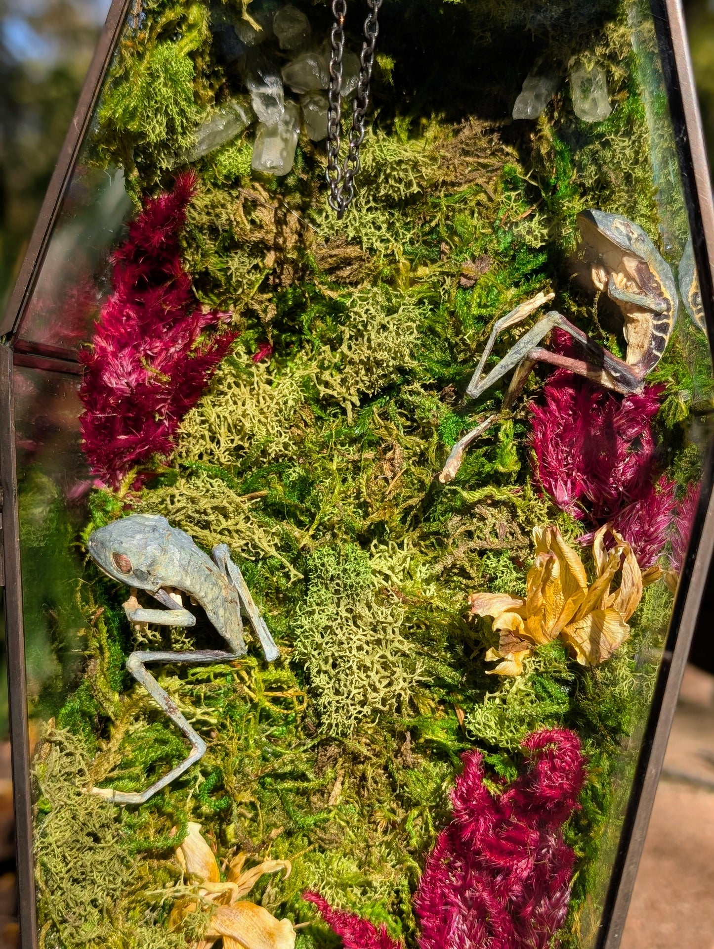 Coffin Critters