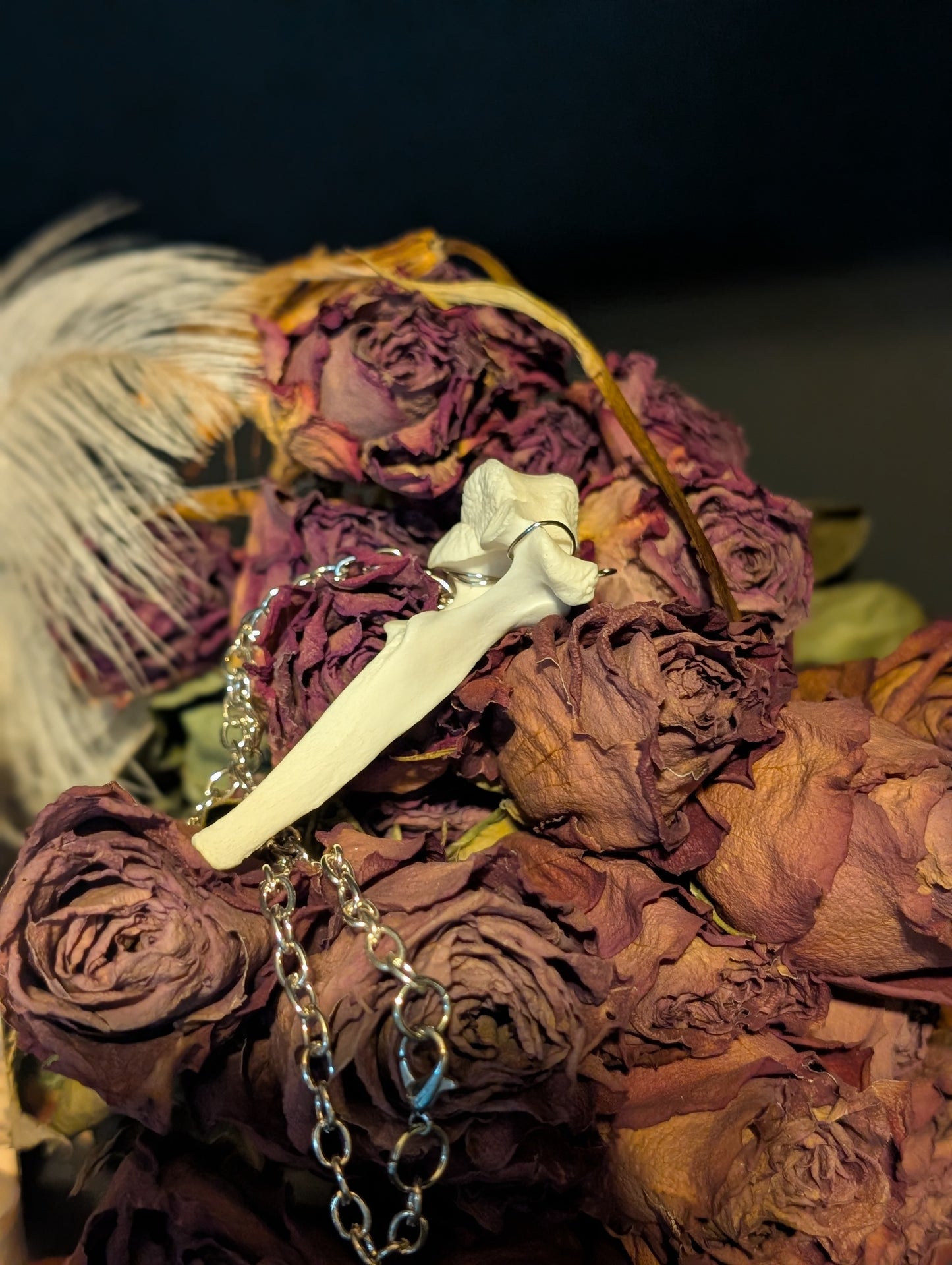 Fawn bone necklace