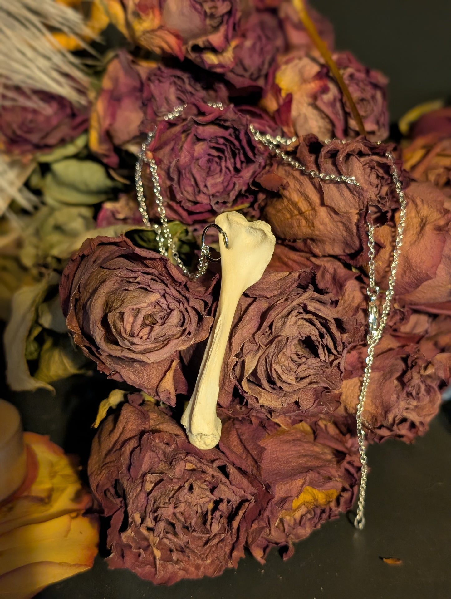 Fawn bone earrings
