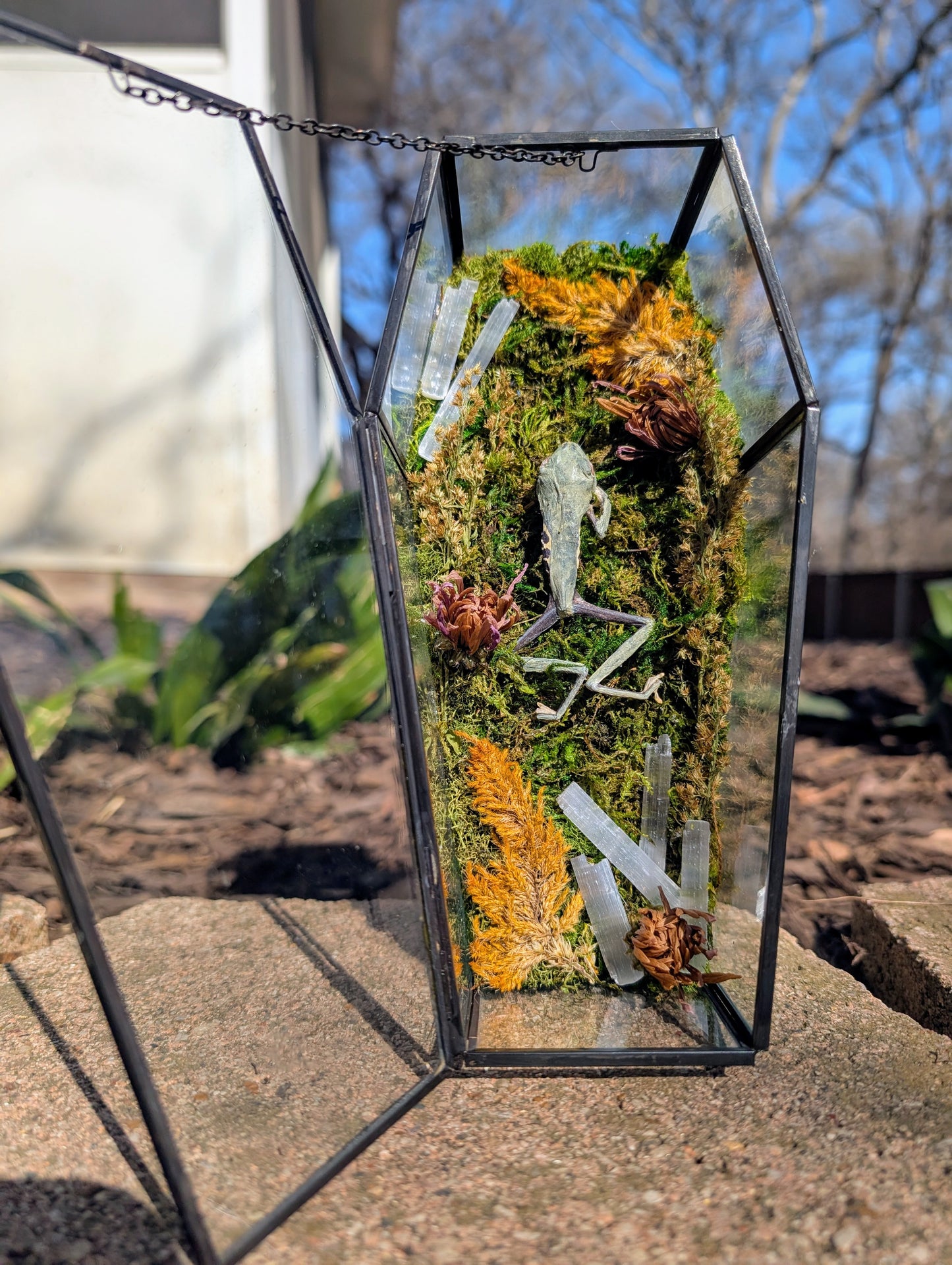 Coffin critters - Green tree frog