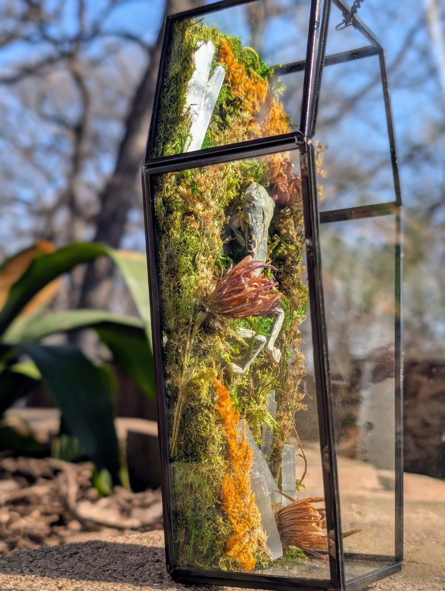 Coffin critters - Green tree frog