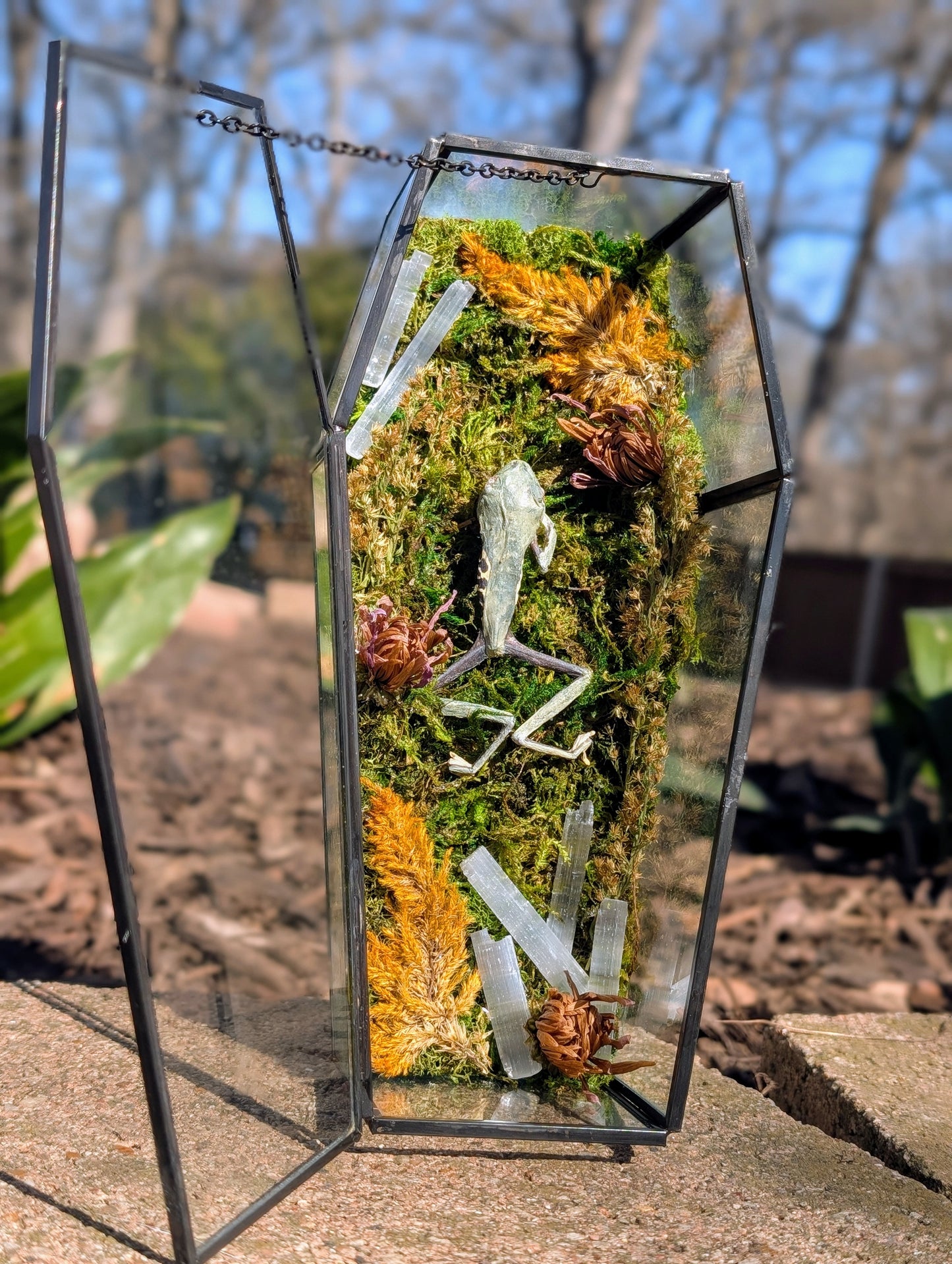 Coffin critters - Green tree frog