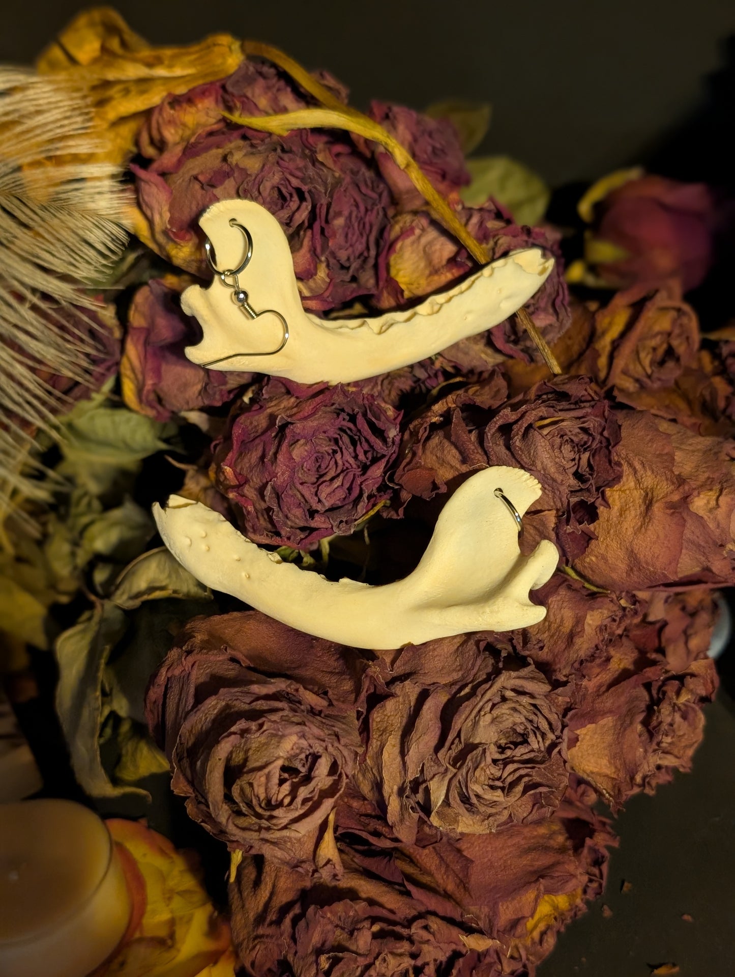Raccoon Jawbone Earrings
