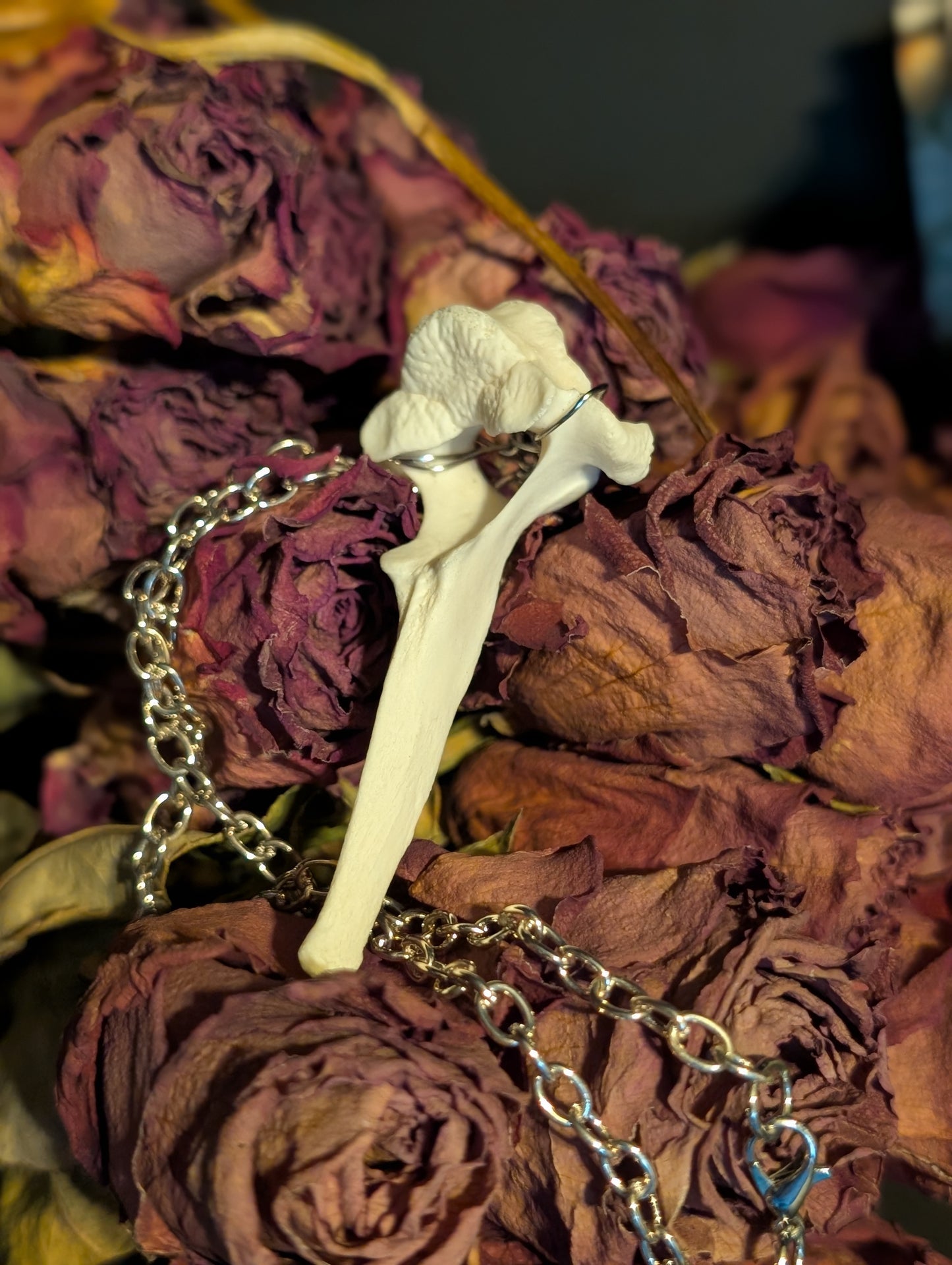Fawn bone necklace