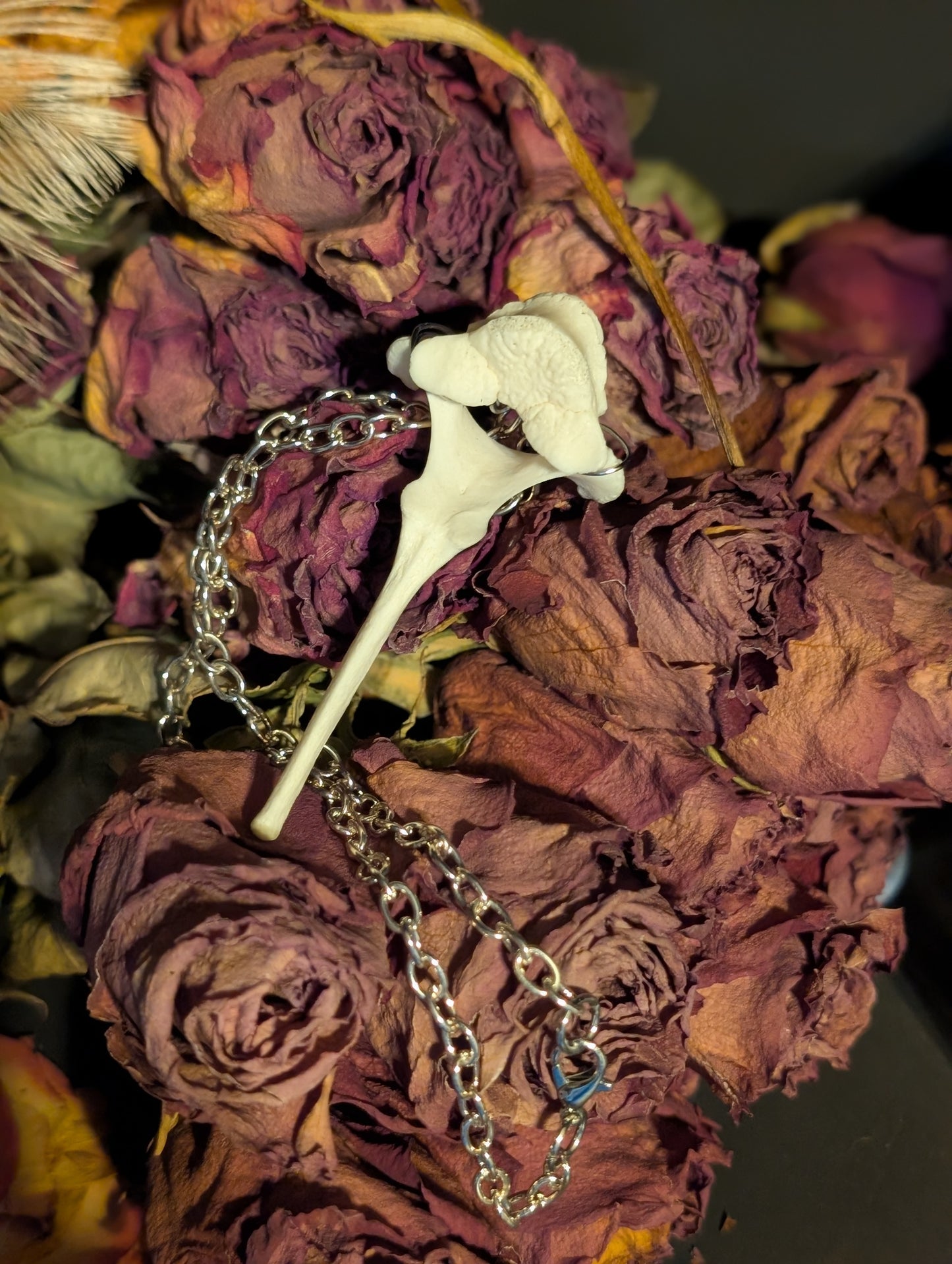 Fawn bone necklace