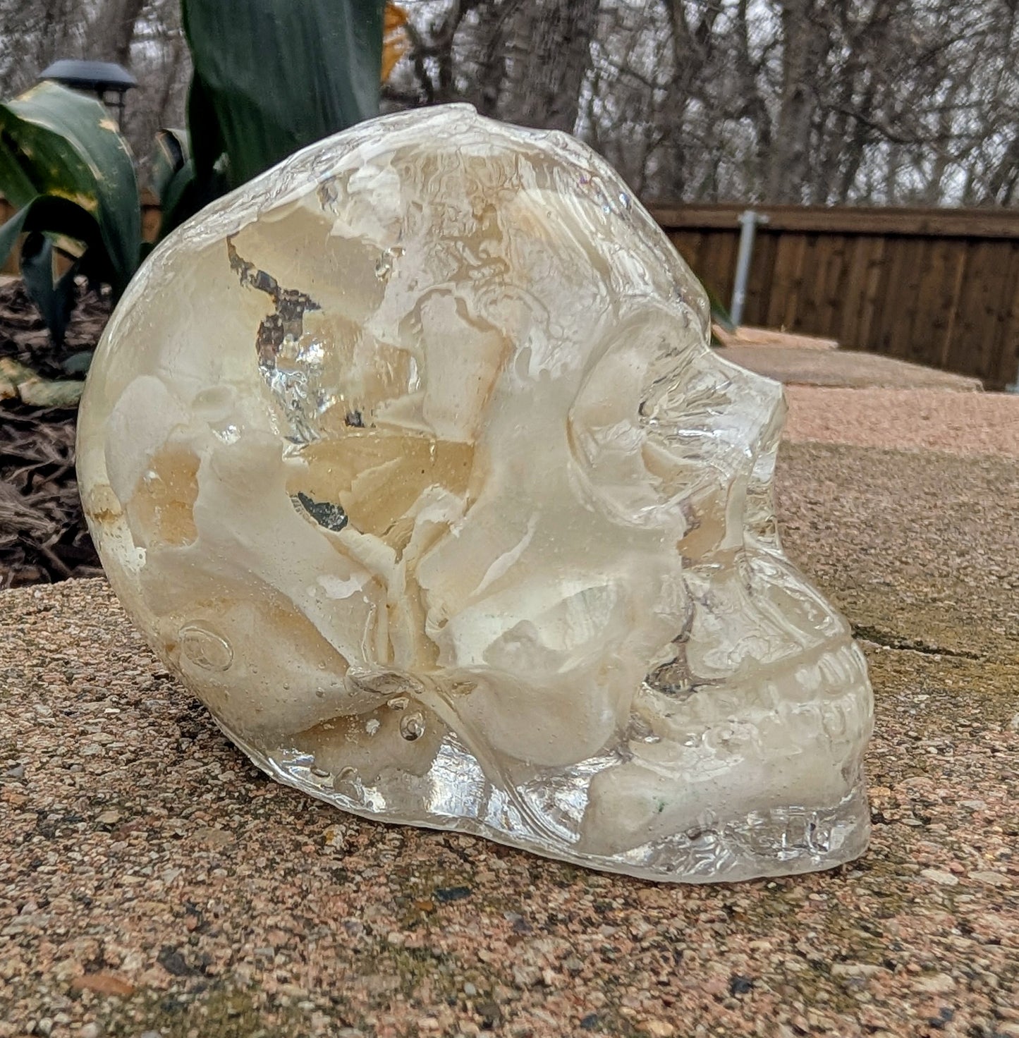 BONE SKULLS - LARGE