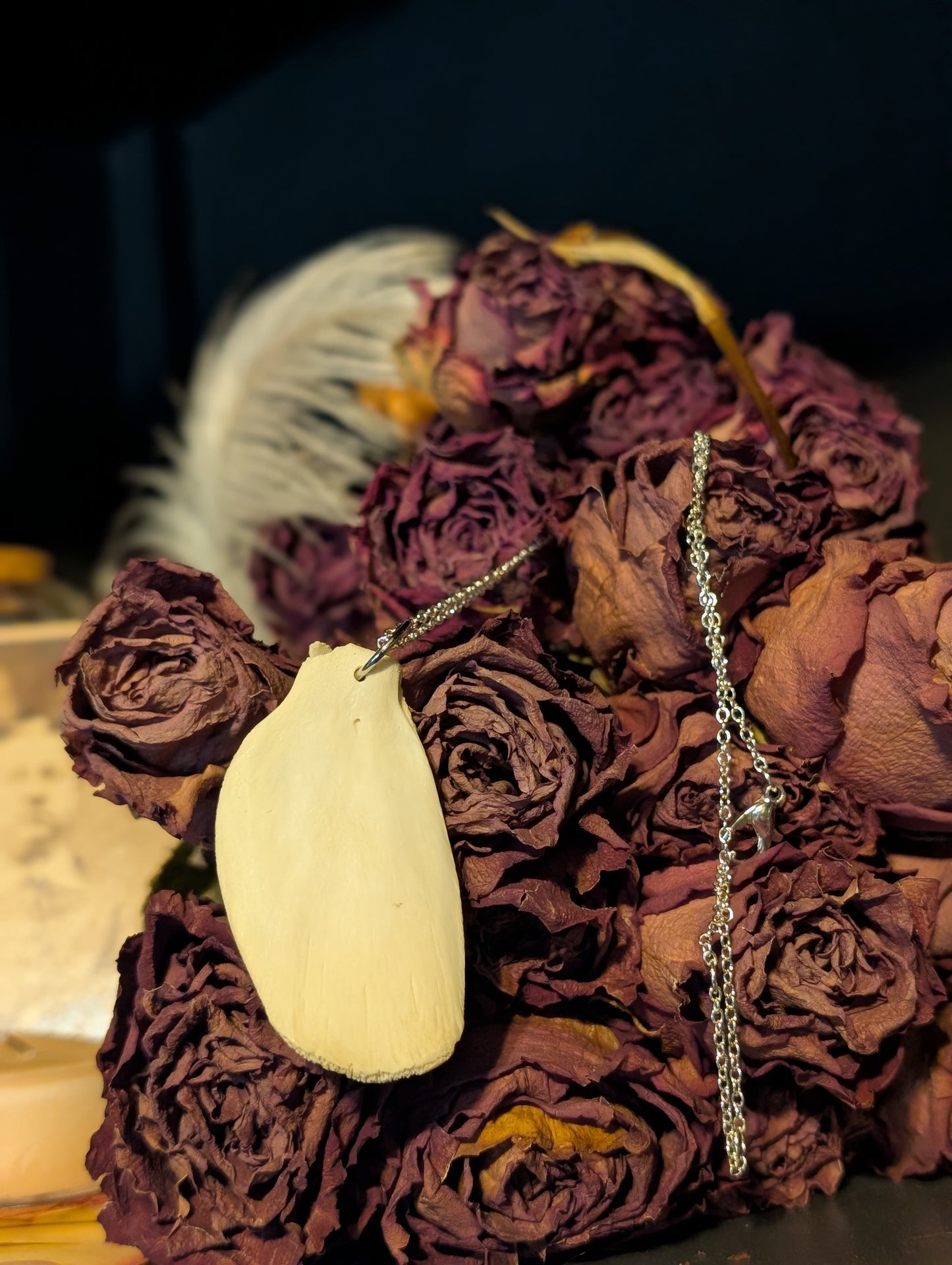 Fawn pelvic bone necklace