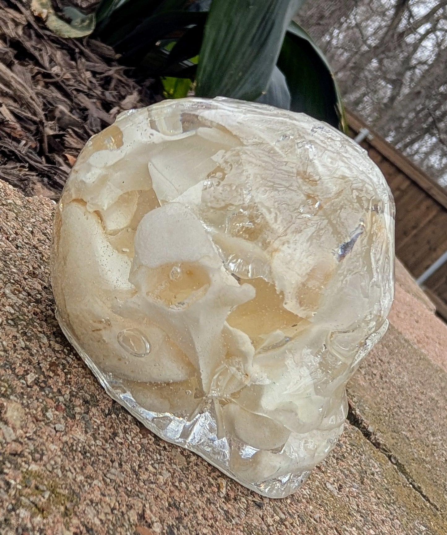 BONE SKULLS - LARGE