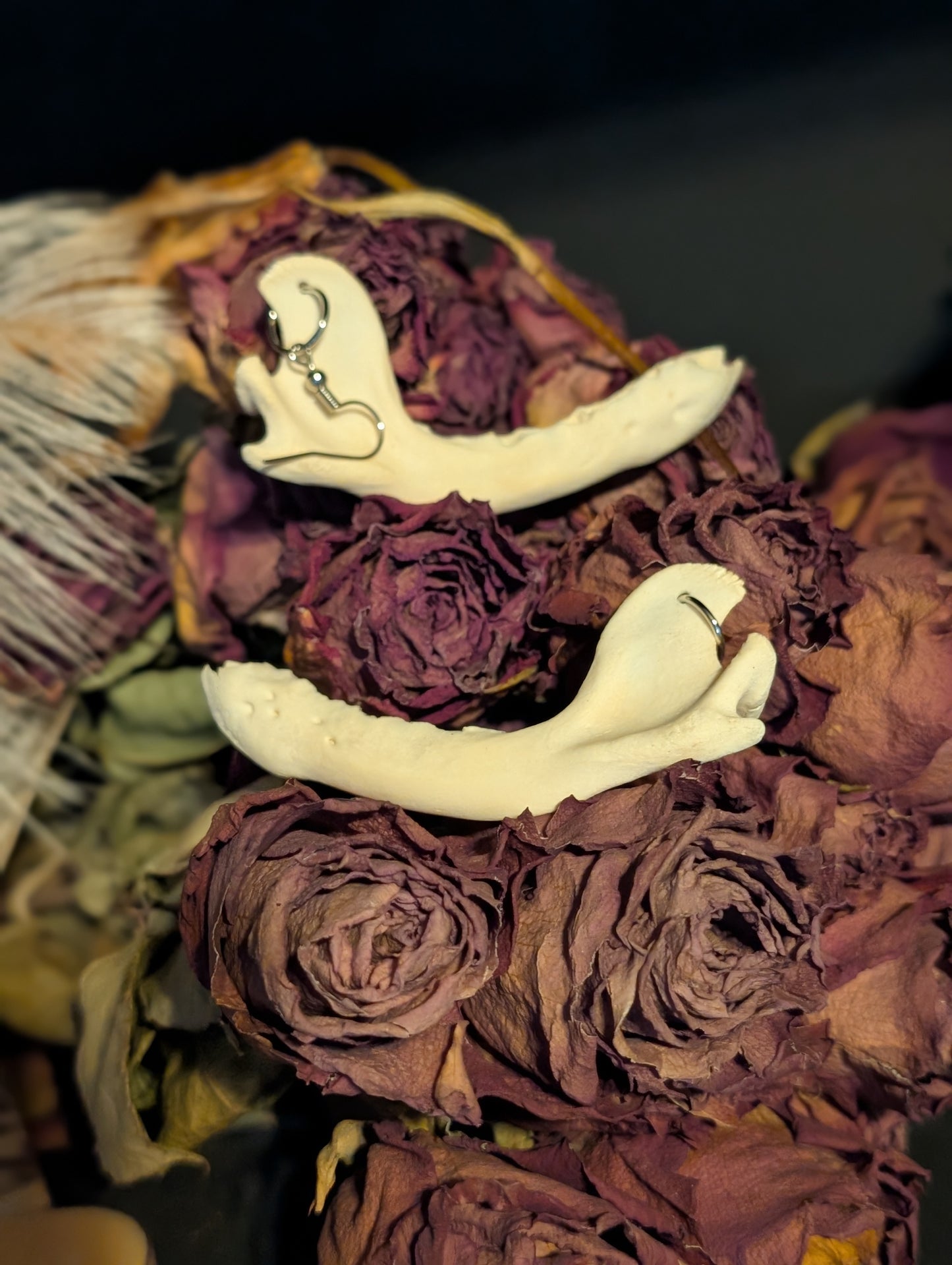 Raccoon Jawbone Earrings