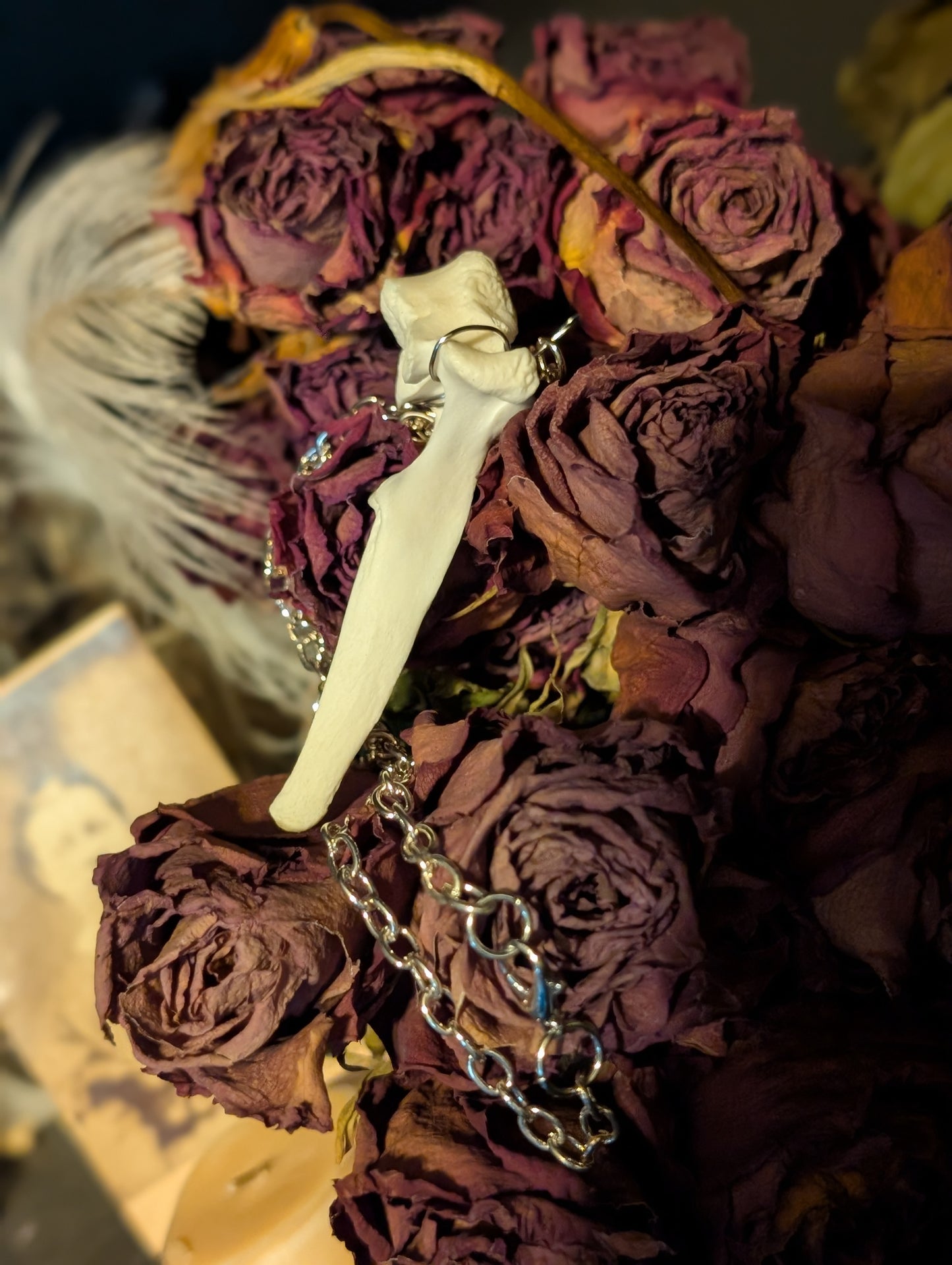 Fawn bone necklace