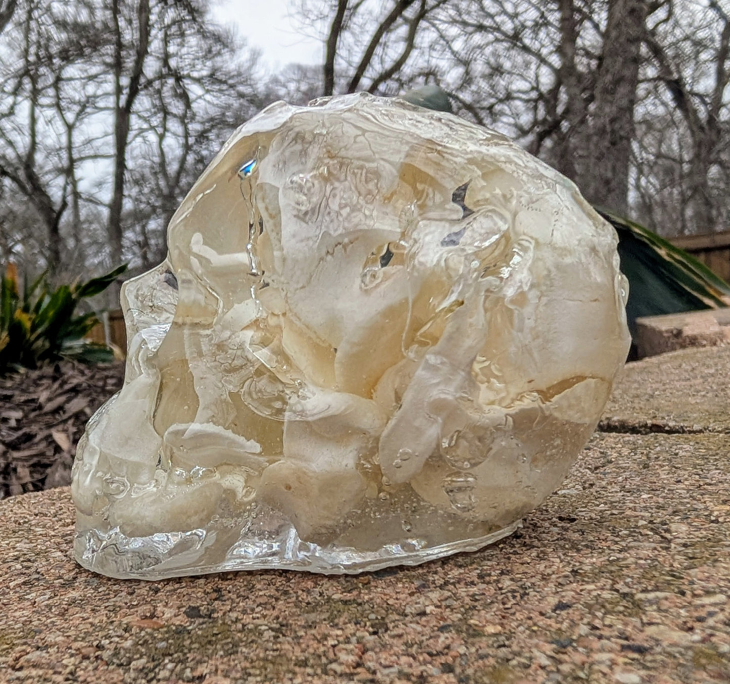 BONE SKULLS - LARGE