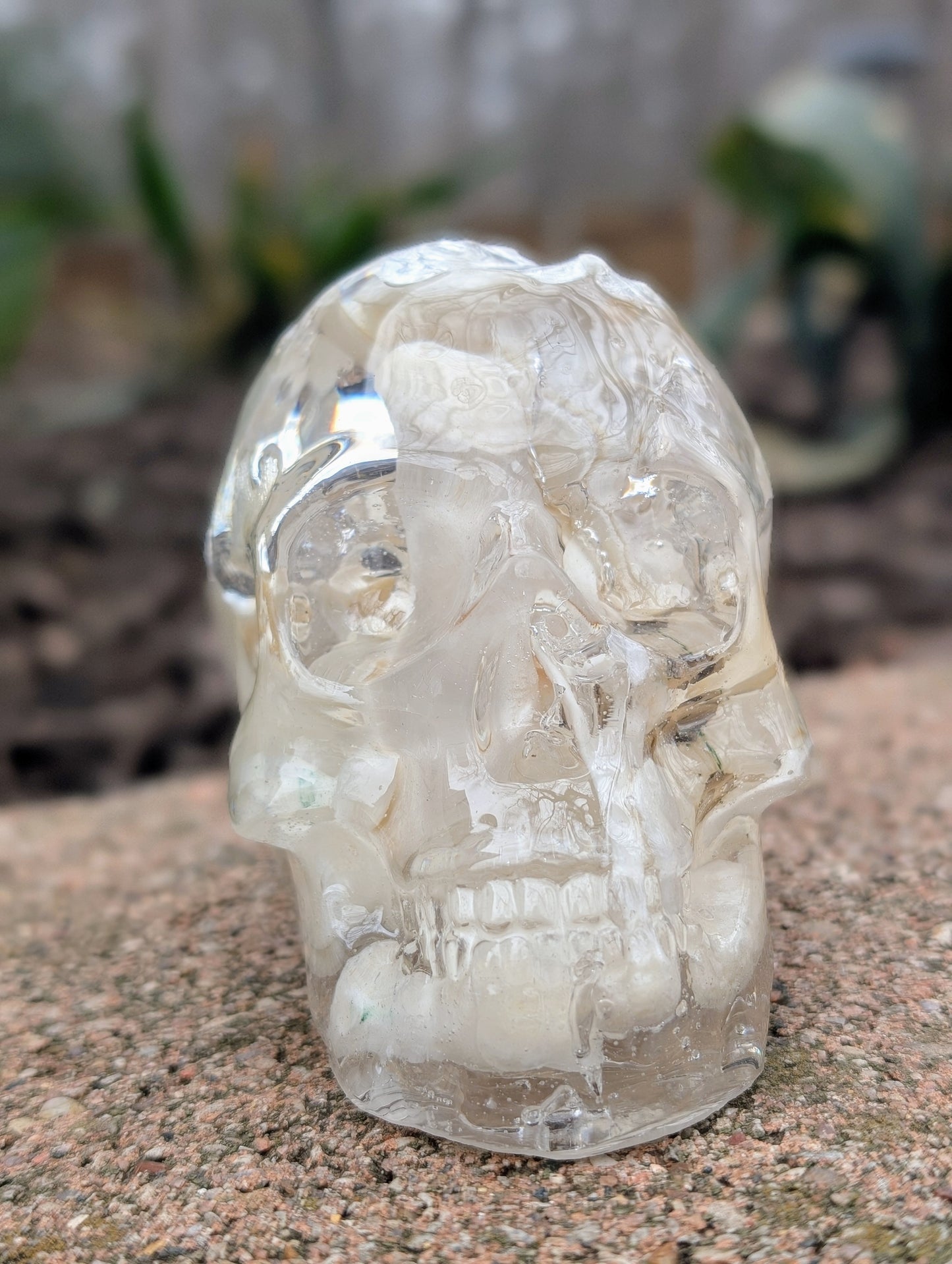 BONE SKULLS - LARGE