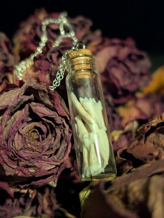 TOOTH VIAL NECKLACE