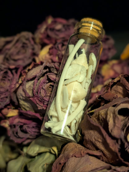 BONE VIAL
