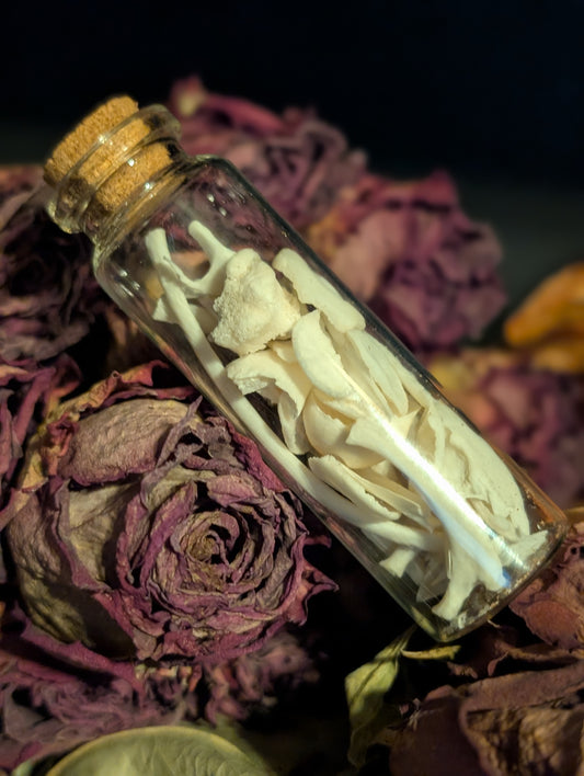 BONE VIAL