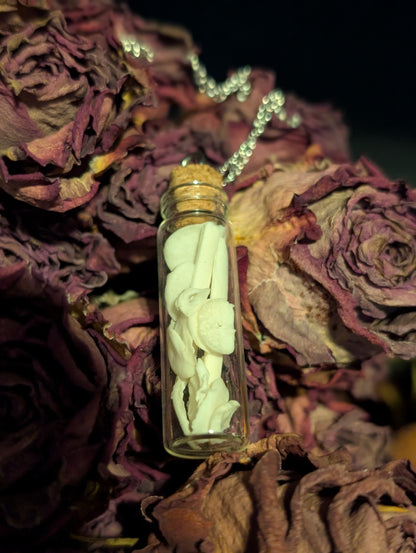 BONE VIAL NECKLACE