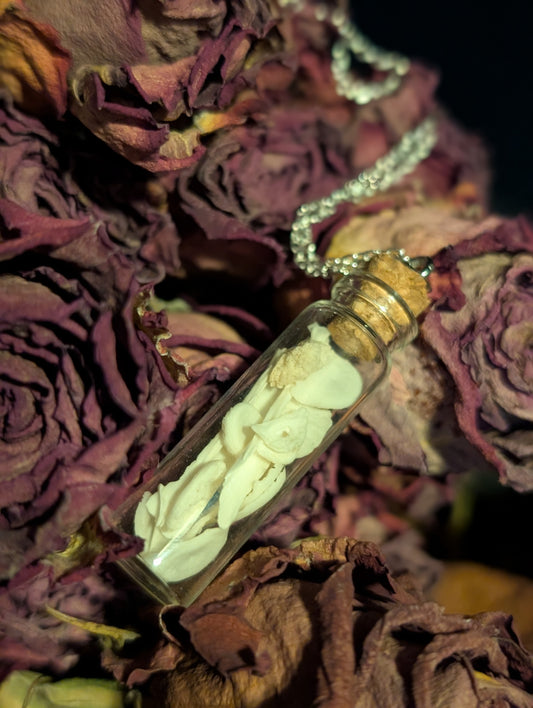 BONE VIAL NECKLACE