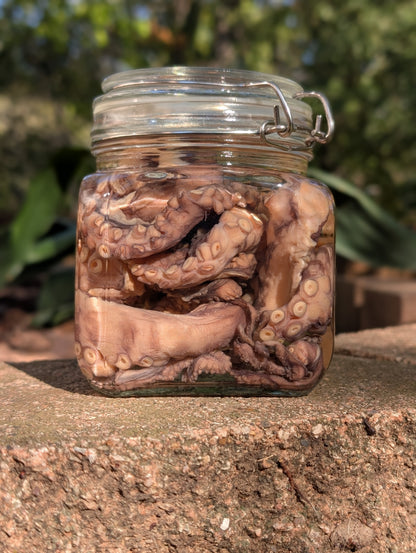 TENTACLES - WET SPECIMEN