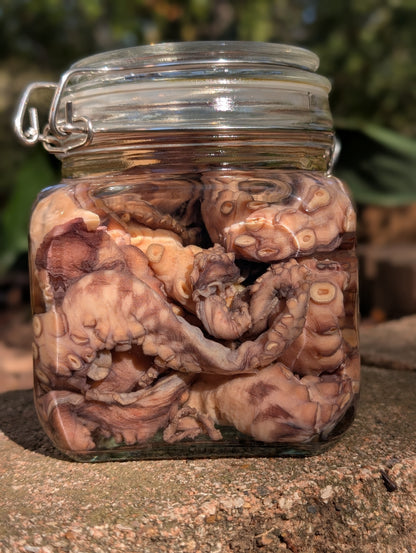 TENTACLES - WET SPECIMEN