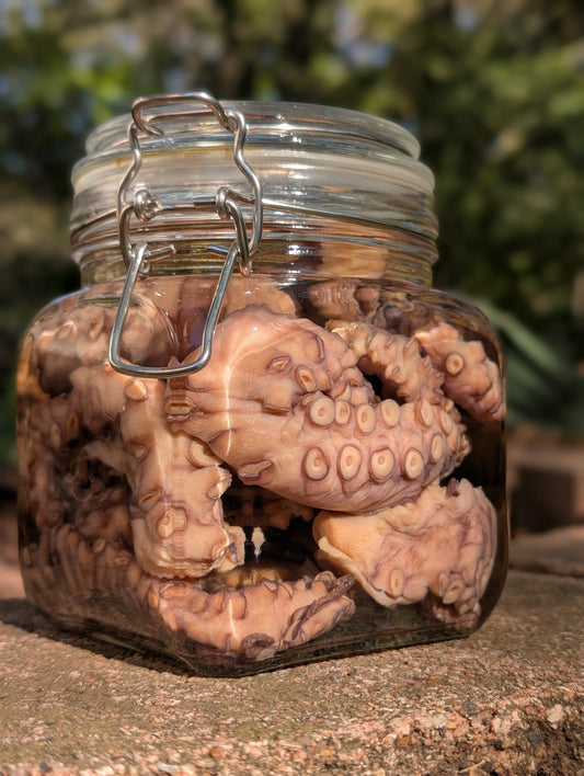 TENTACLES - WET SPECIMEN