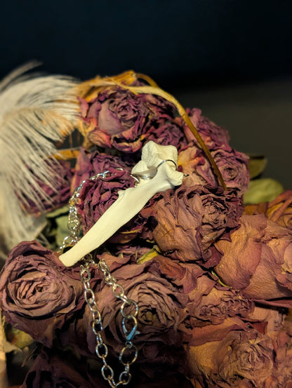Fawn bone necklace