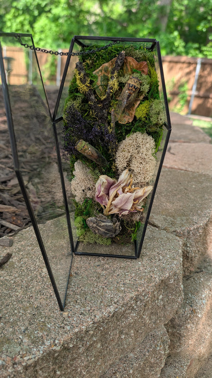 Toad and cicada coffin terrarium