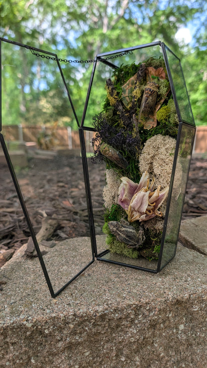 Toad and cicada coffin terrarium