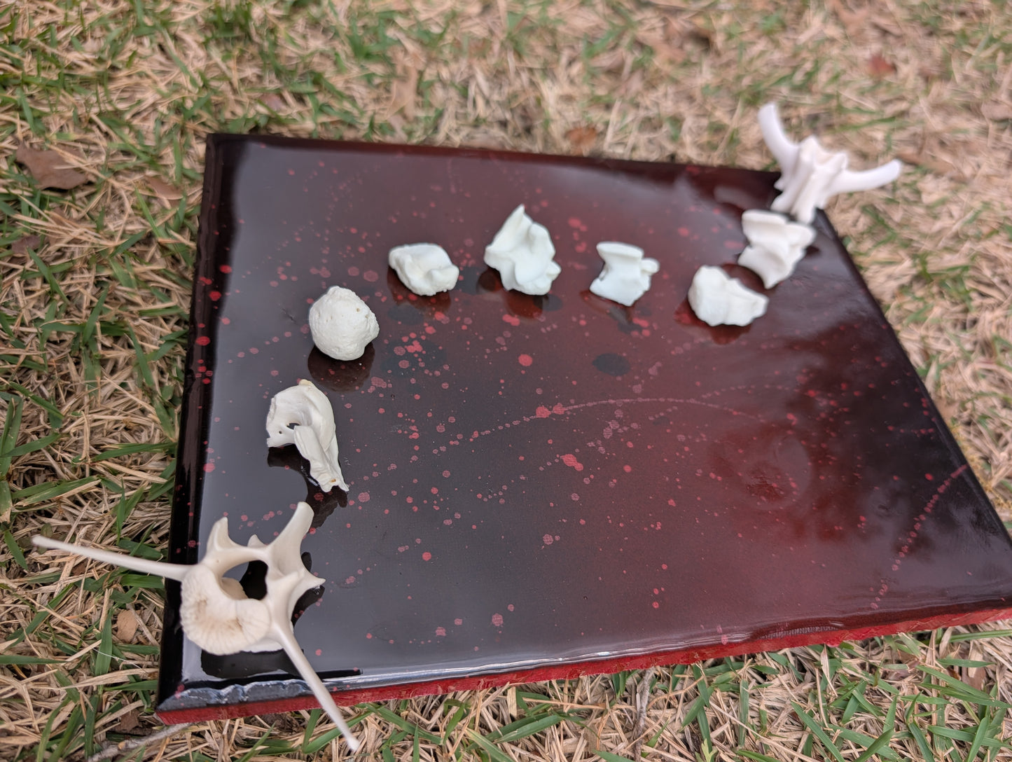 Centipede bone canvas