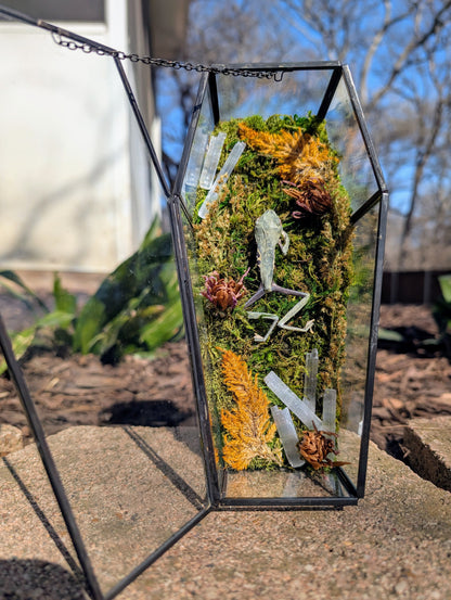 Coffin critters - Green tree frog