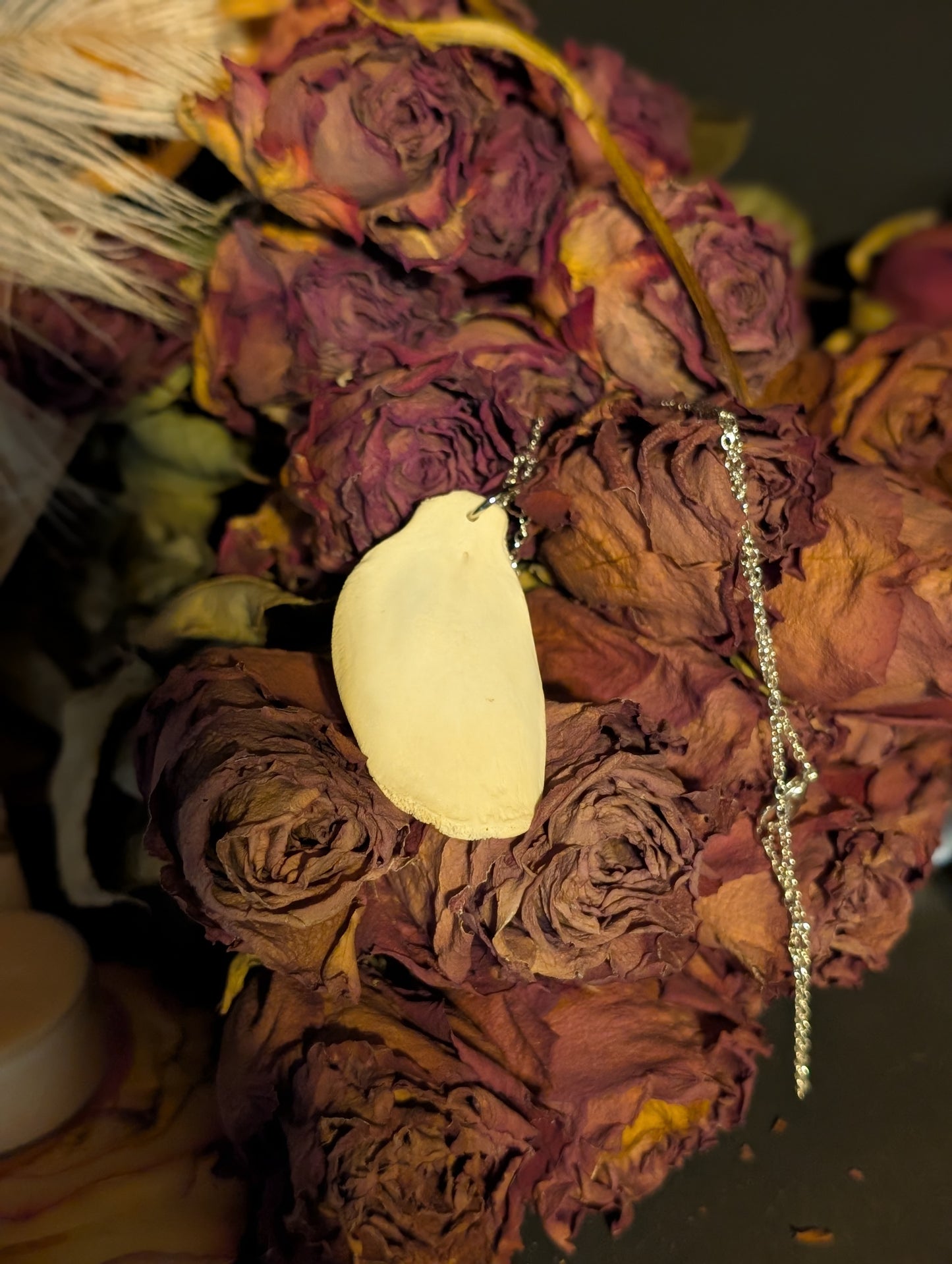 Fawn pelvic bone necklace