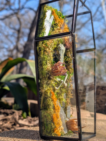 Coffin critters - Green tree frog