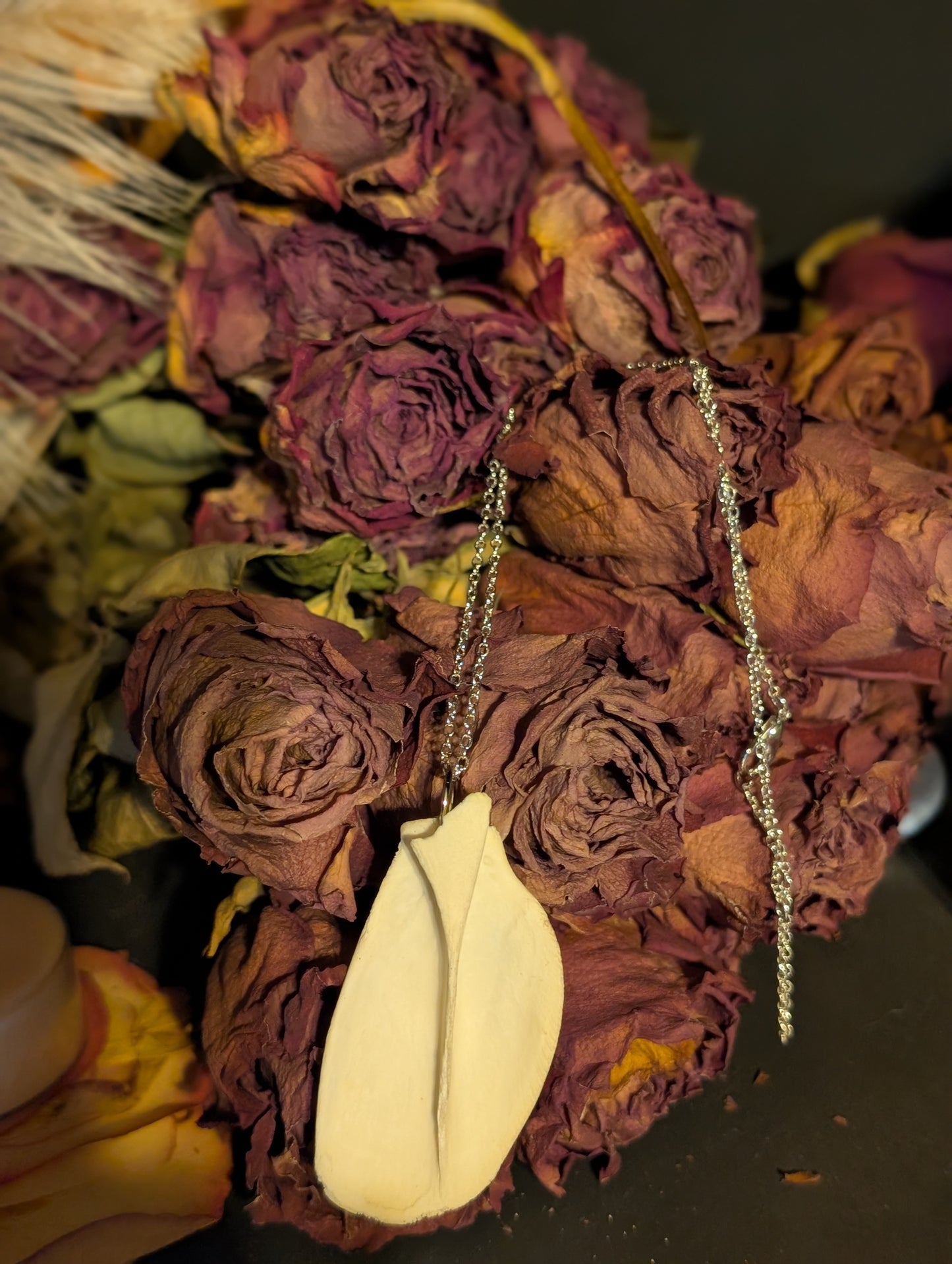 Fawn pelvic bone necklace