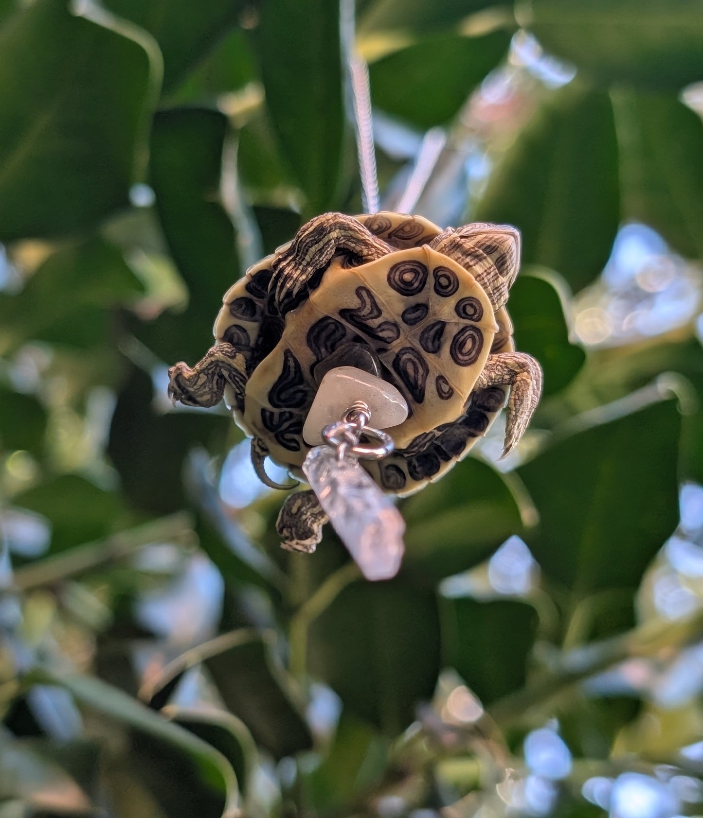 Baby red ear slider necklace