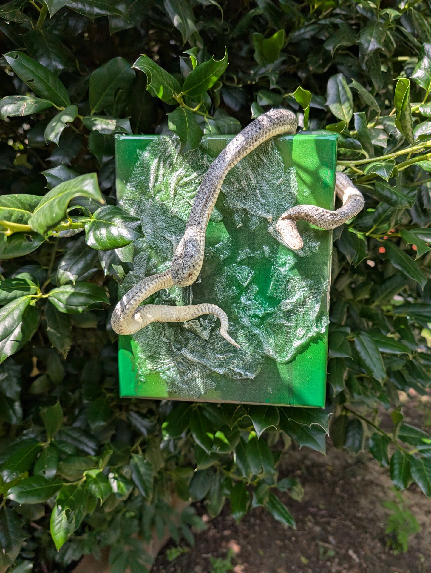 Mummified sand boa canvas