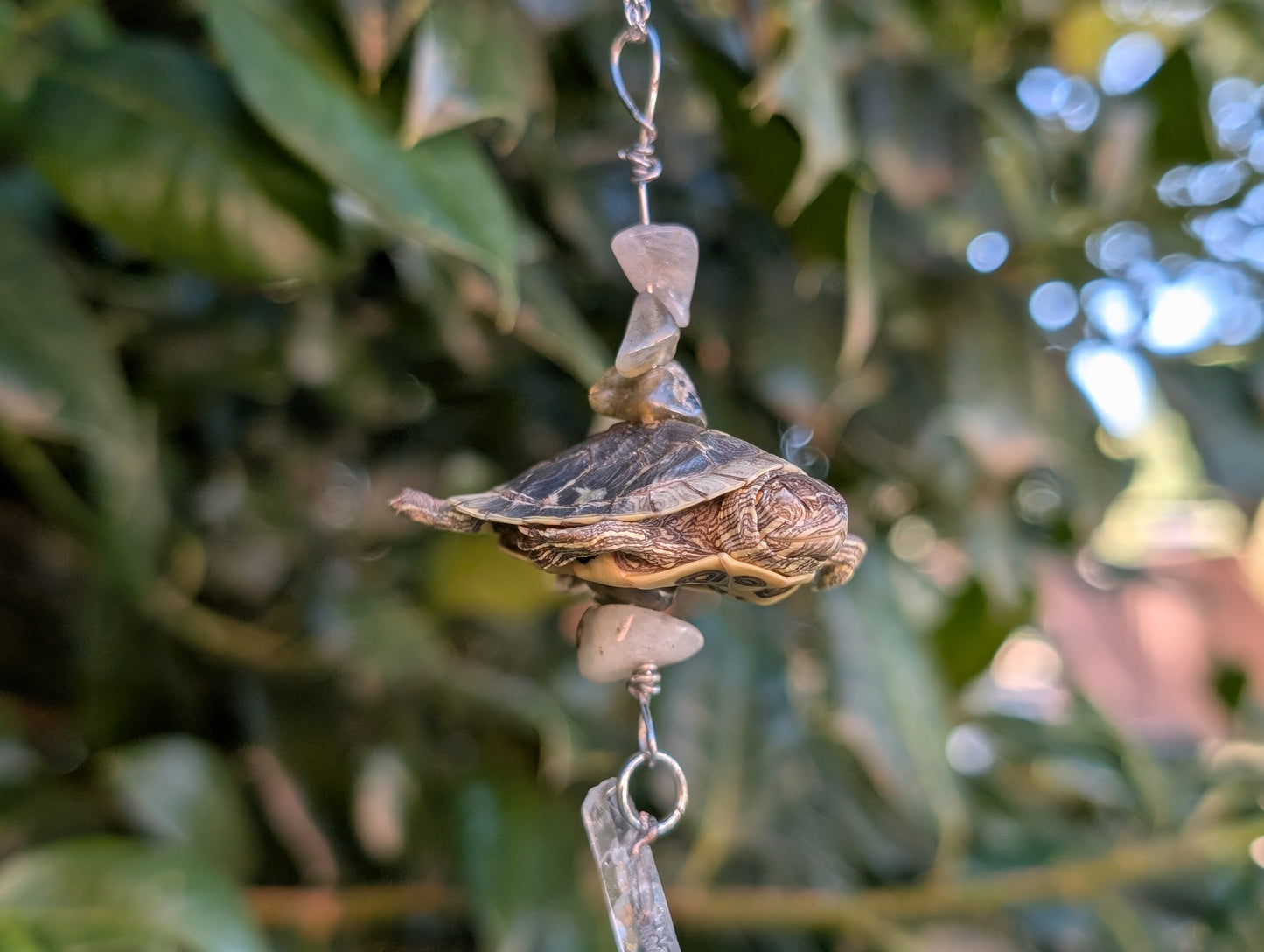 Baby red ear slider necklace