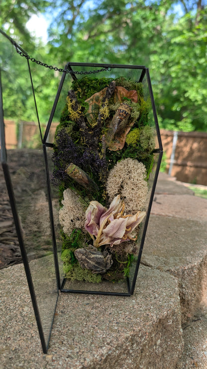 Toad and cicada coffin terrarium