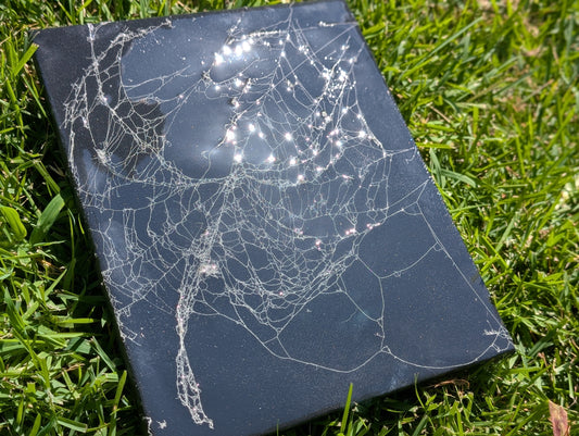 Real spider web canvas
