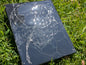 Real spider web canvas