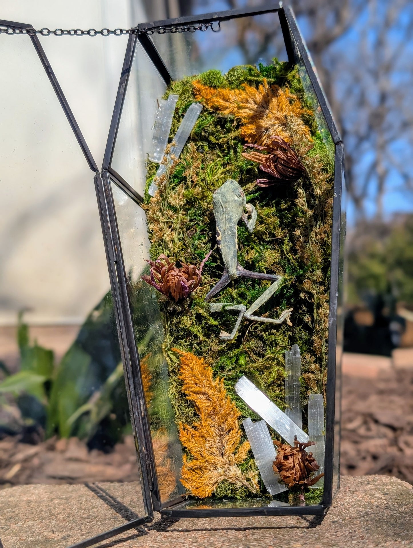 Coffin critters - Green tree frog