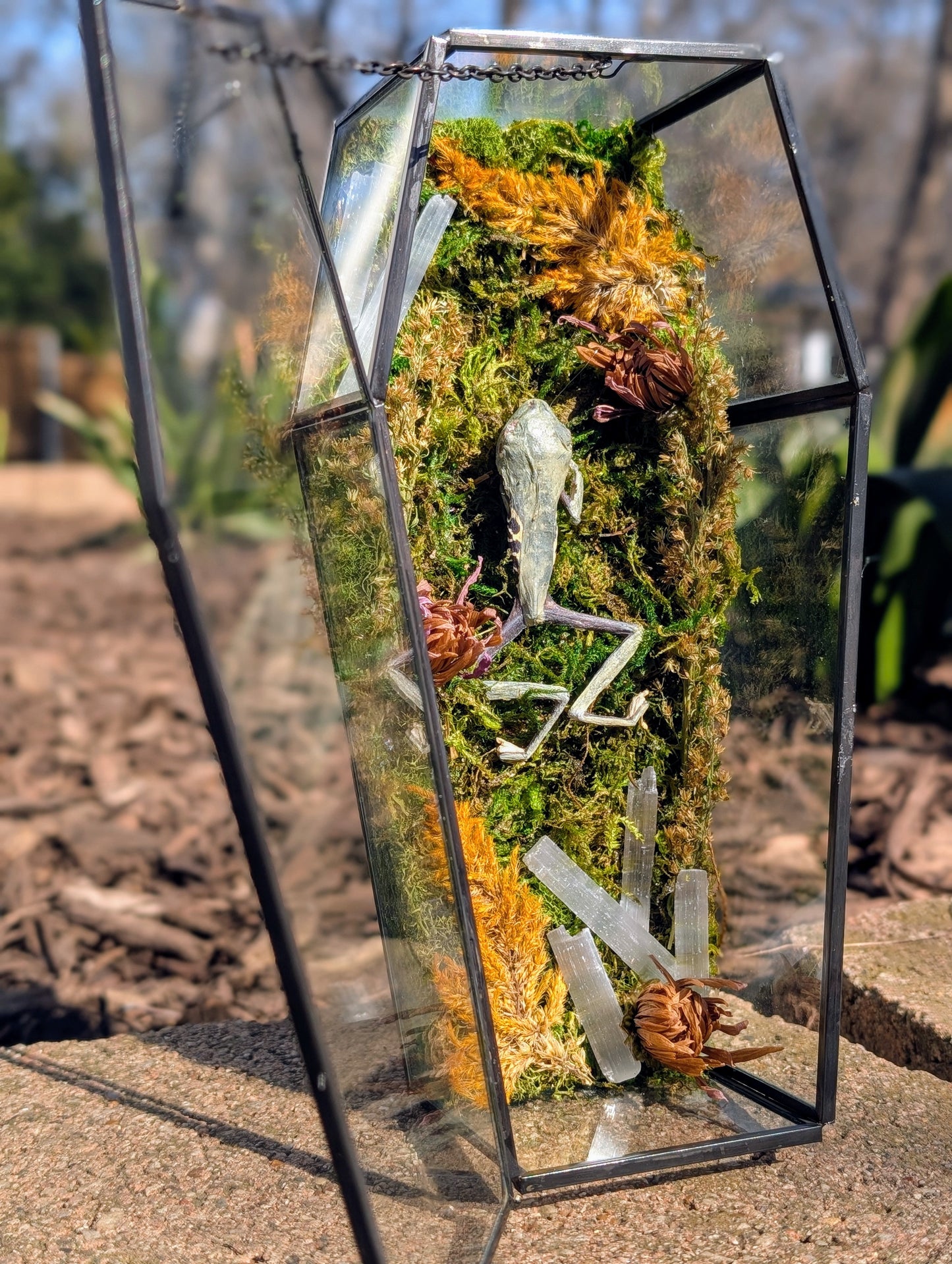 Coffin critters - Green tree frog