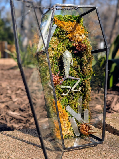 Coffin critters - Green tree frog