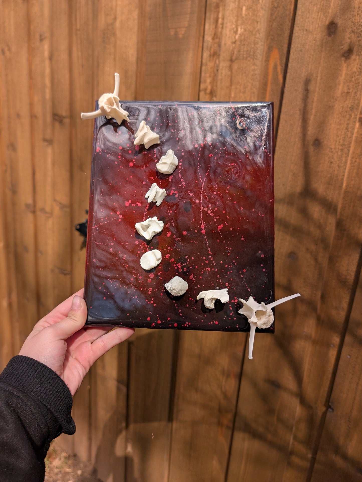 Centipede bone canvas